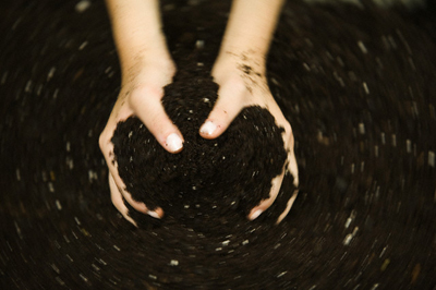 image of hands in dirt