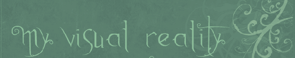 my visual reality banner