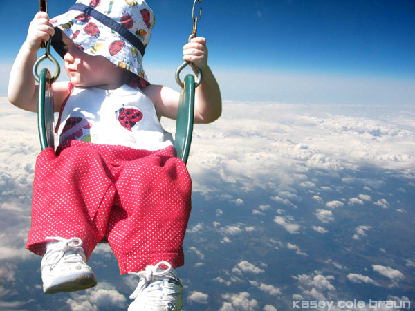 sky swing
