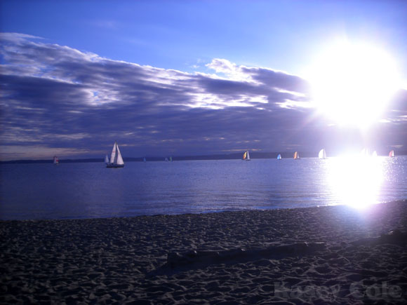 seattle pacific coast