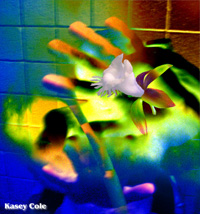 vanilla hands